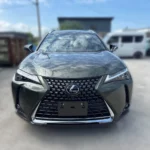 Lexus UX 250h Hybrid (2023) — photo 1