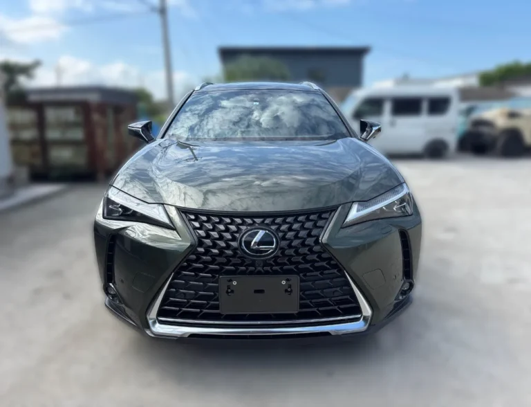 Lexus UX 250h Hybrid (2023)