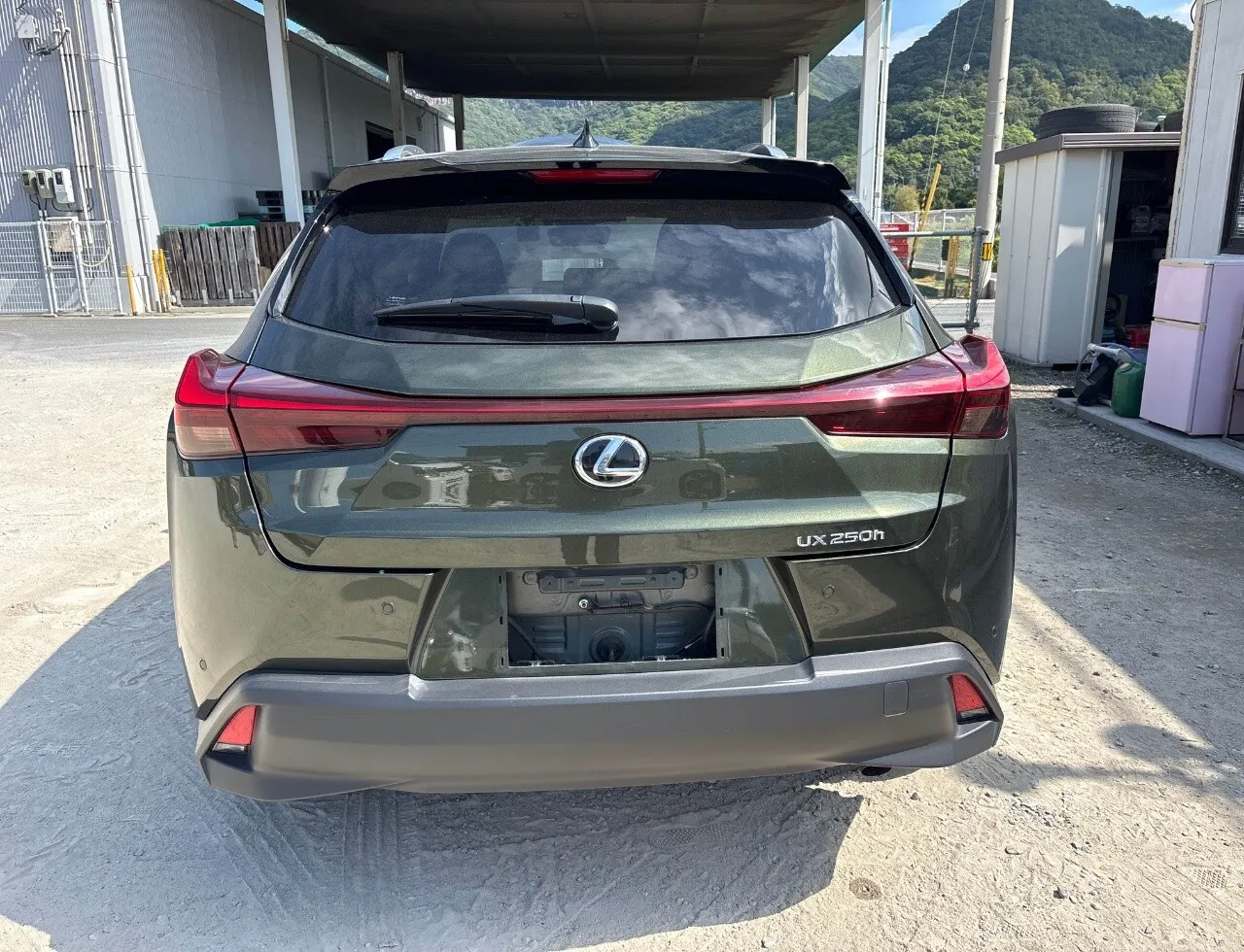 Lexus UX 250h Hybrid (2023) — photo 3